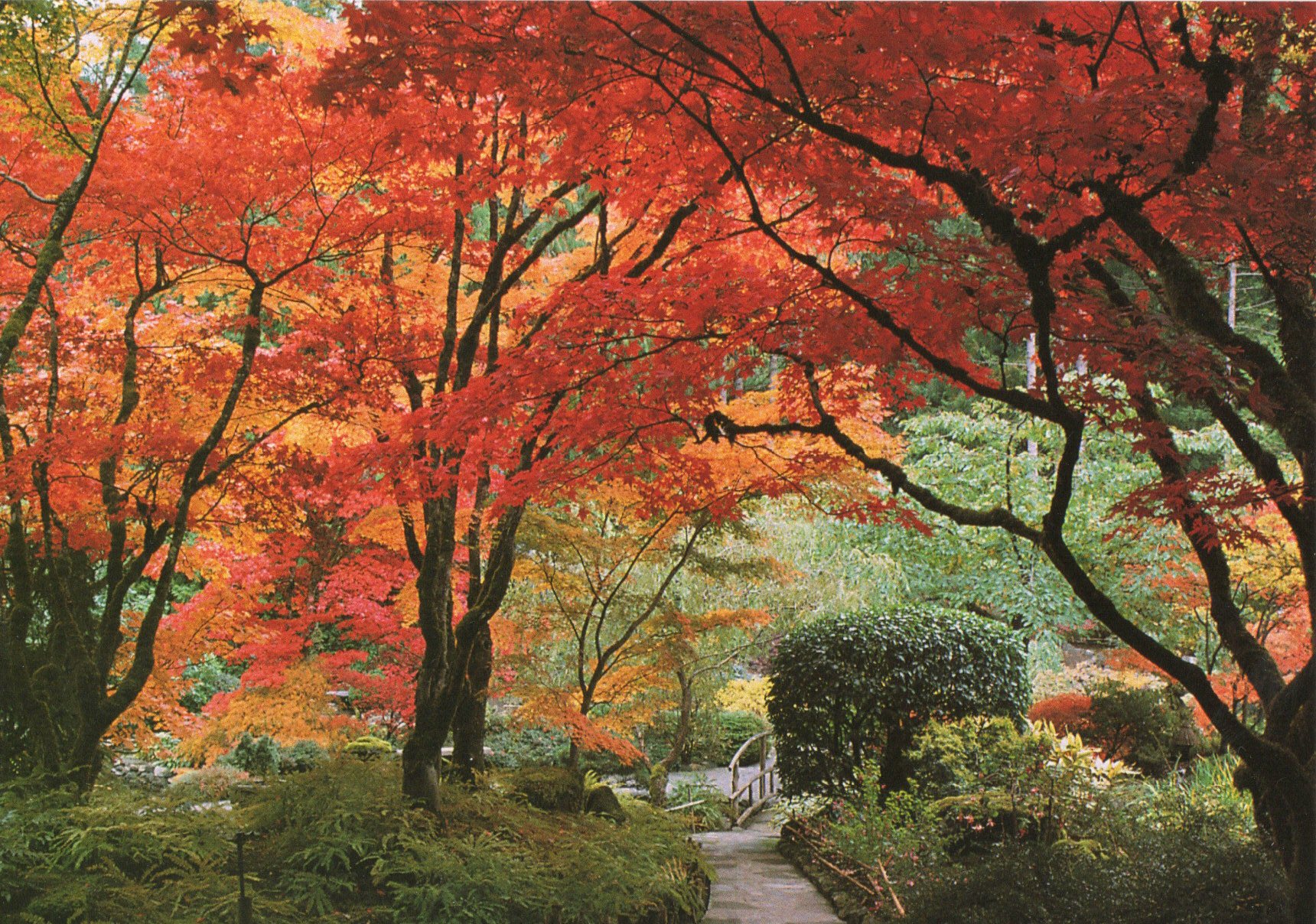 Fall color